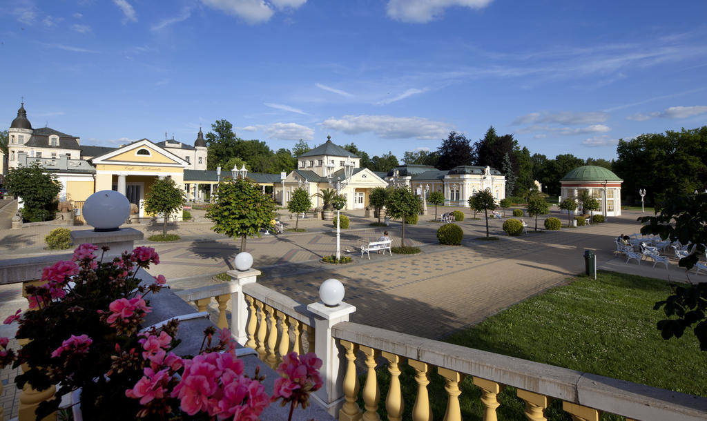 Dr. Adler Spa & Kurhotel Frantiskovy Lazne Bagian luar foto