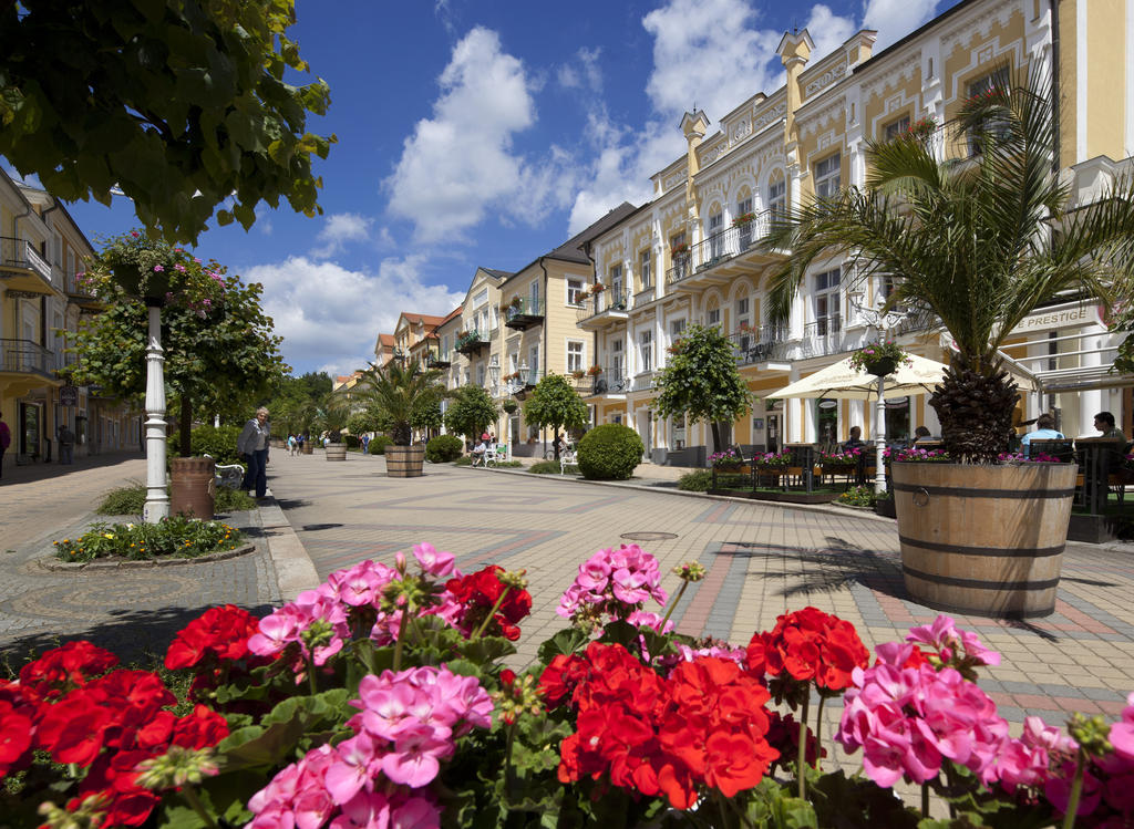 Dr. Adler Spa & Kurhotel Frantiskovy Lazne Bagian luar foto